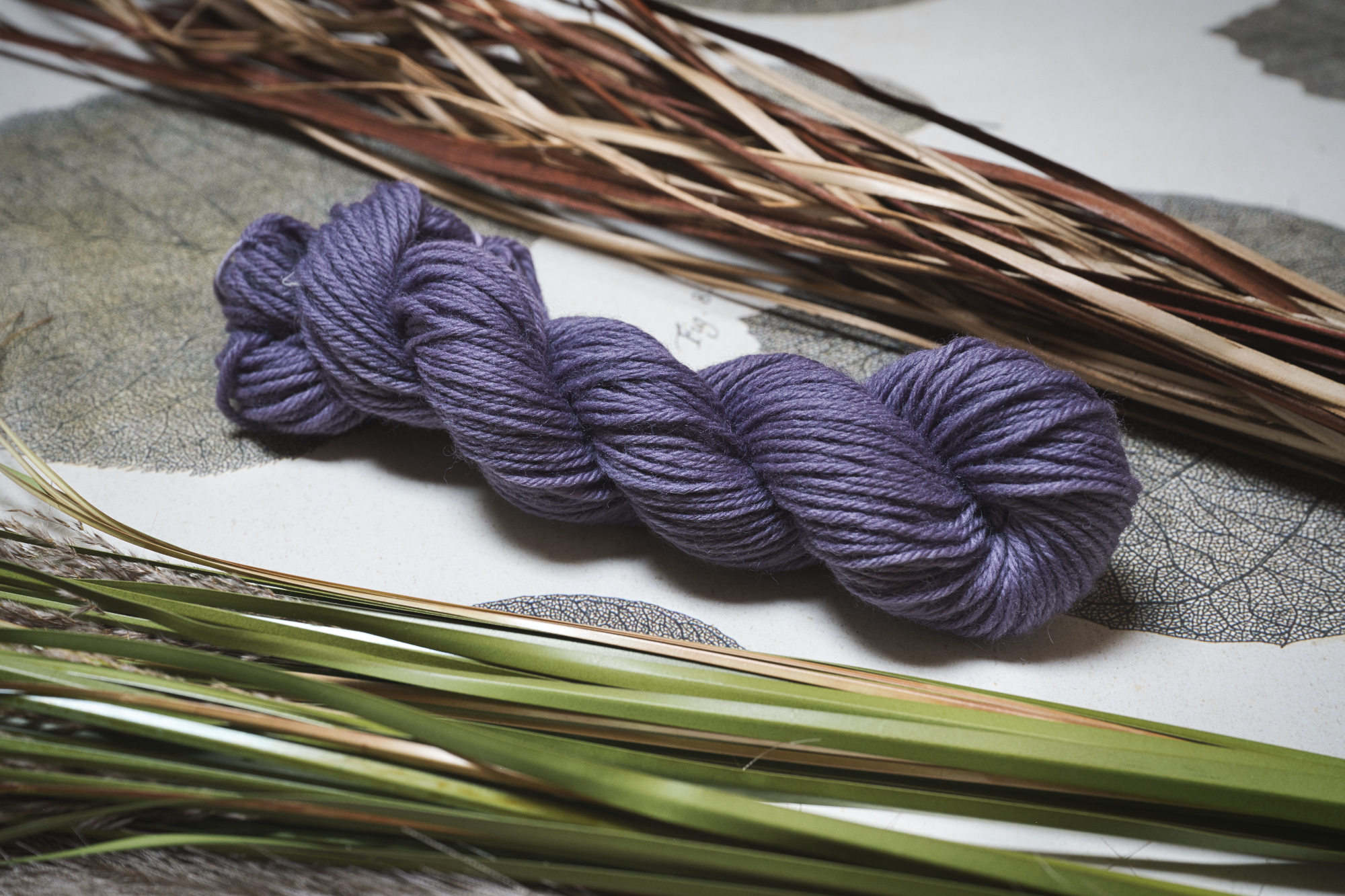 Classic & Soft DK