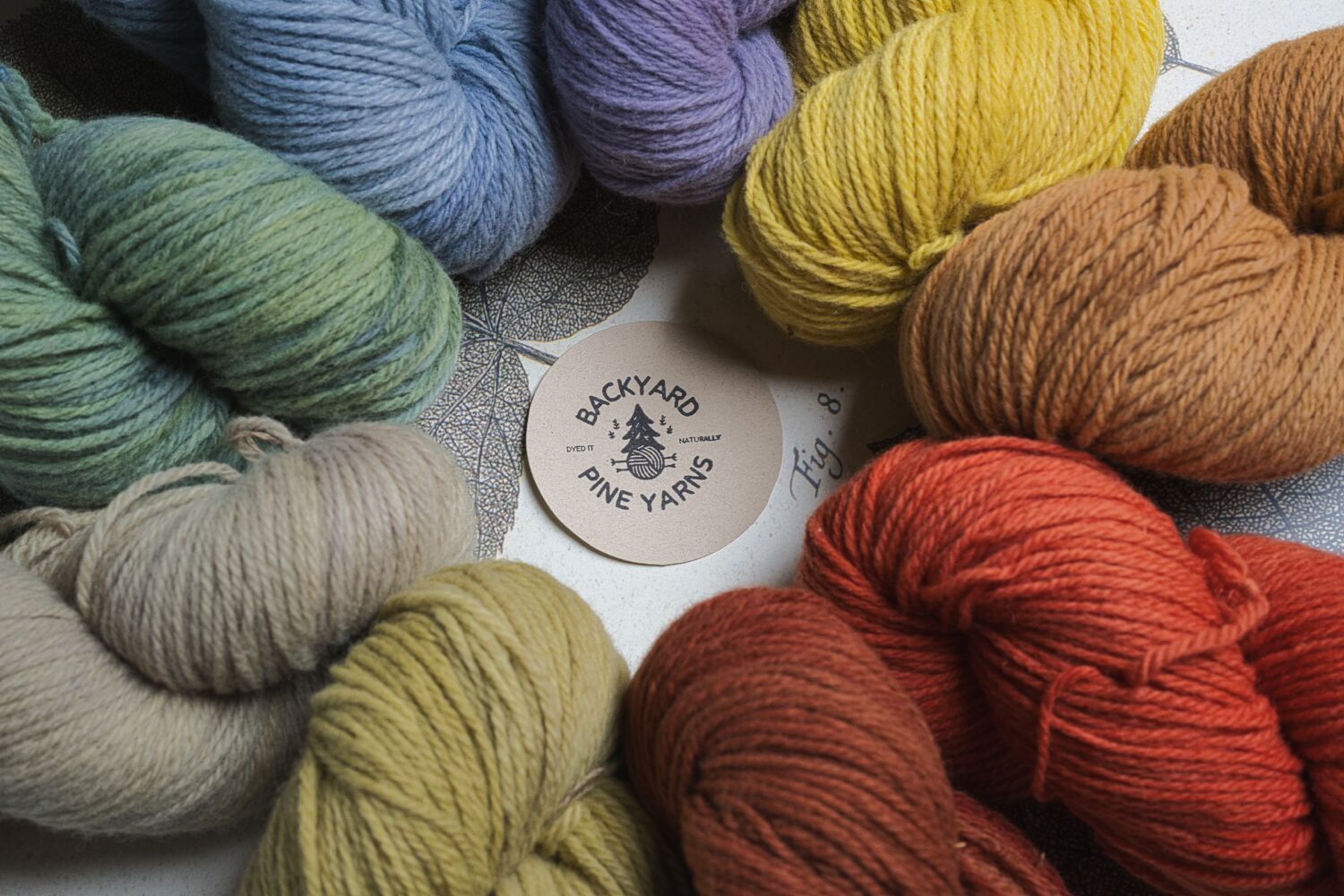 Corriedale DK