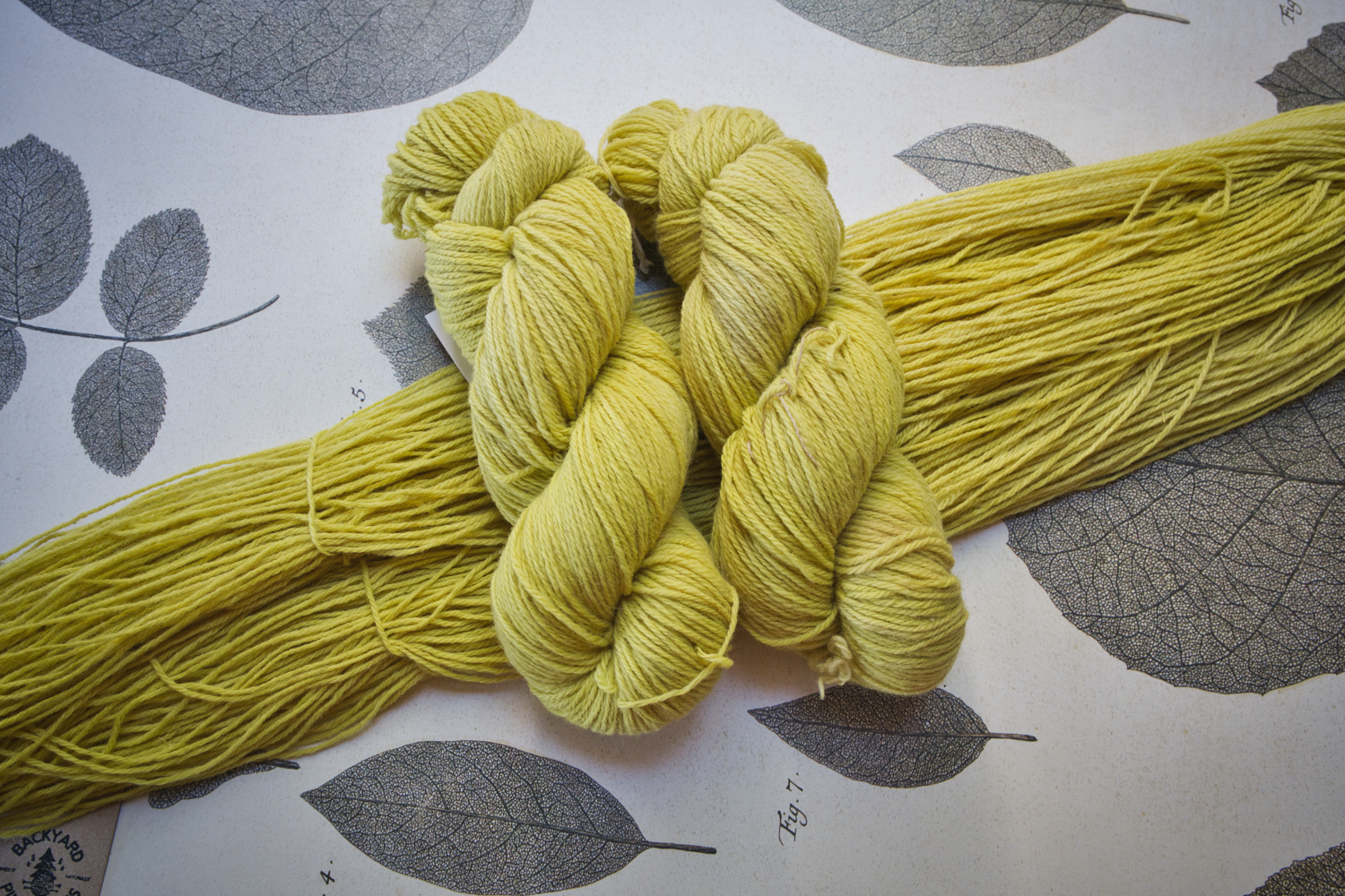 Yuppie Yellow
