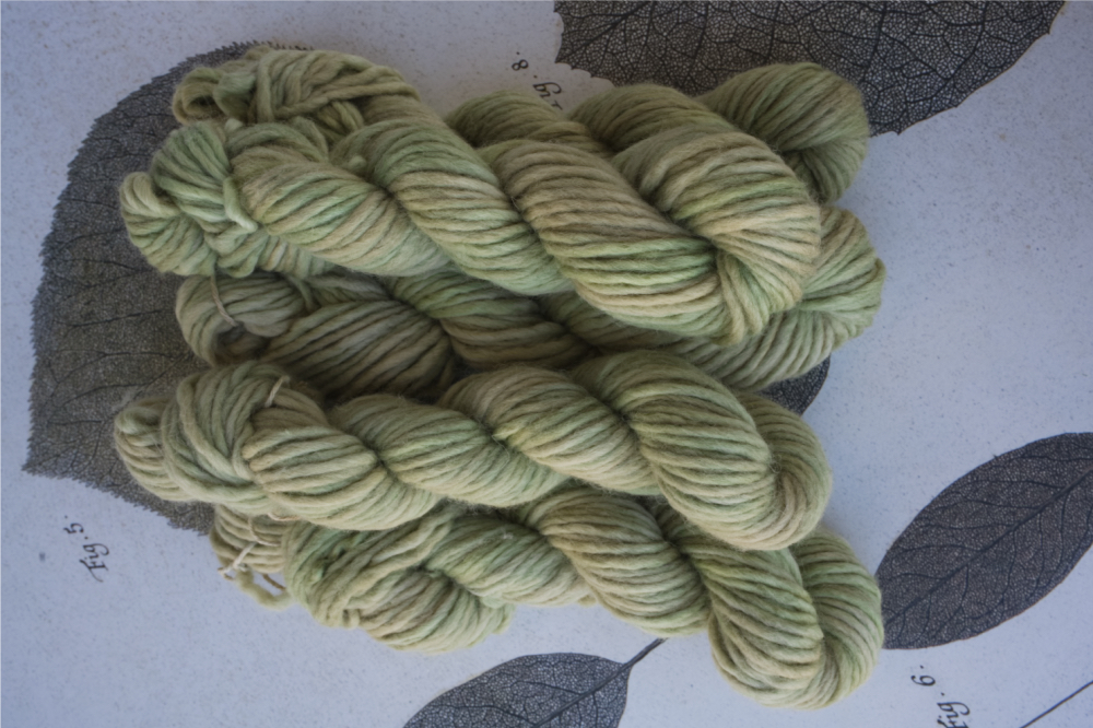 Pretty Pistachio