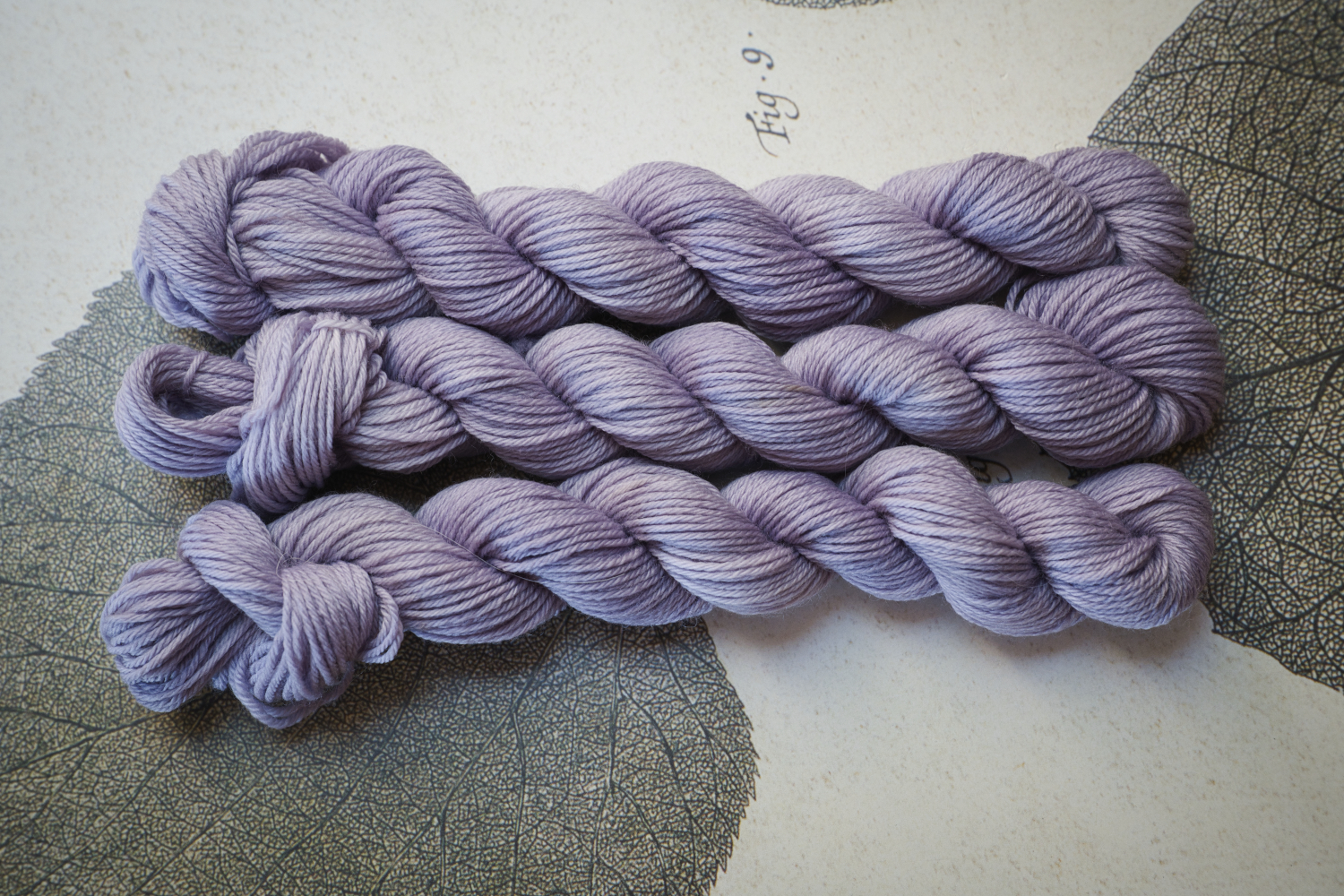 Lighthearted Lavender
