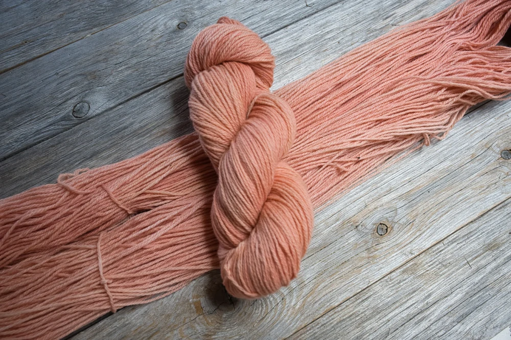 Calm Coral
