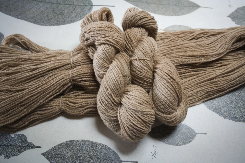 Crafty Camel
