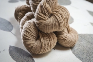 Crafty Camel