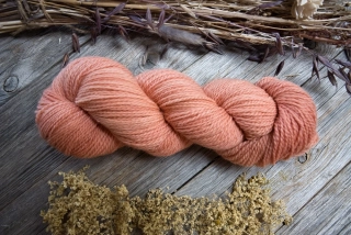 Classy Coral