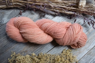 Calm Coral